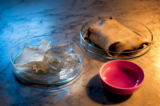Marine and bovine collagen source materials