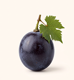 Vitis Vinifera Extract